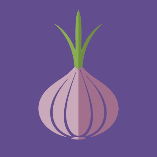 Tor гидра